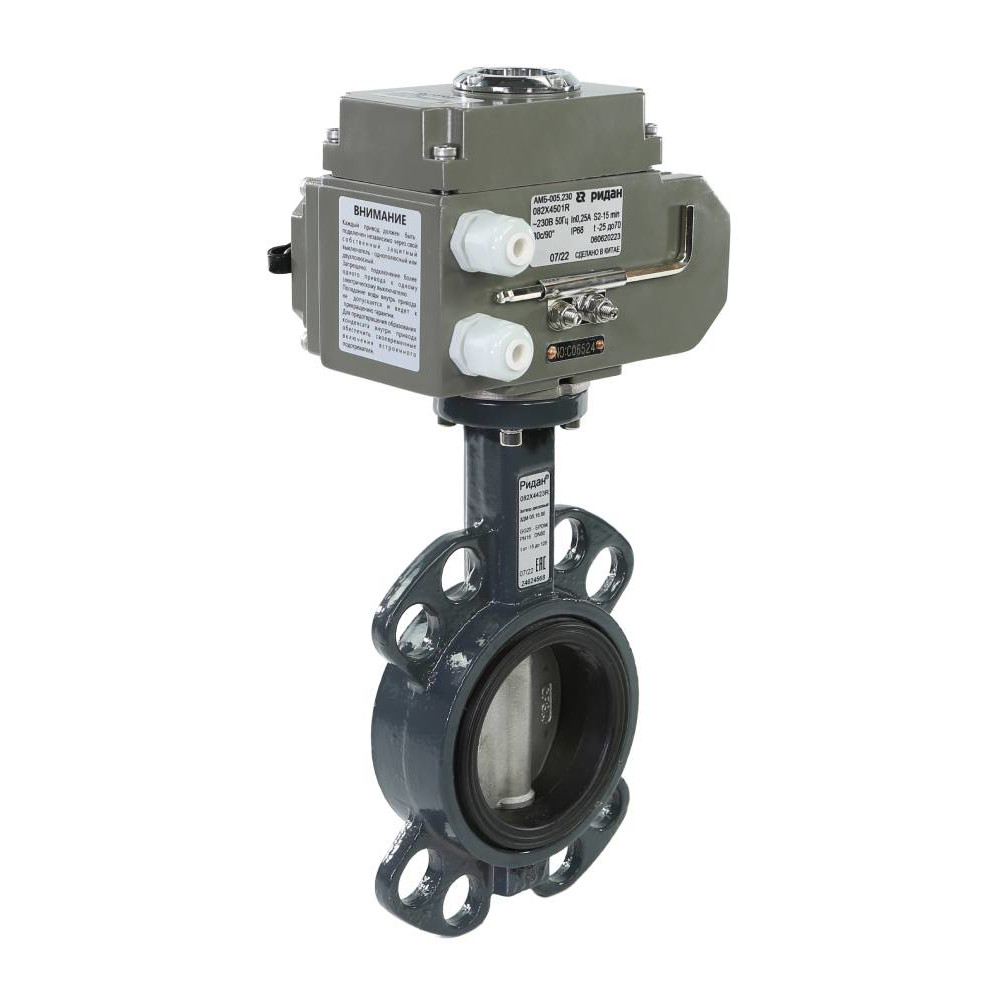 Затвор дисковый PN16 DN100 диск чугун с электроприводом 220В Ridan